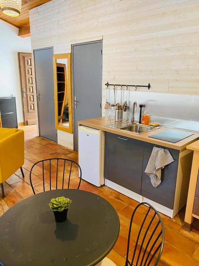 Studio Ile De La Barthelasse A Deux Pas Du Centre 亞維農 外观 照片