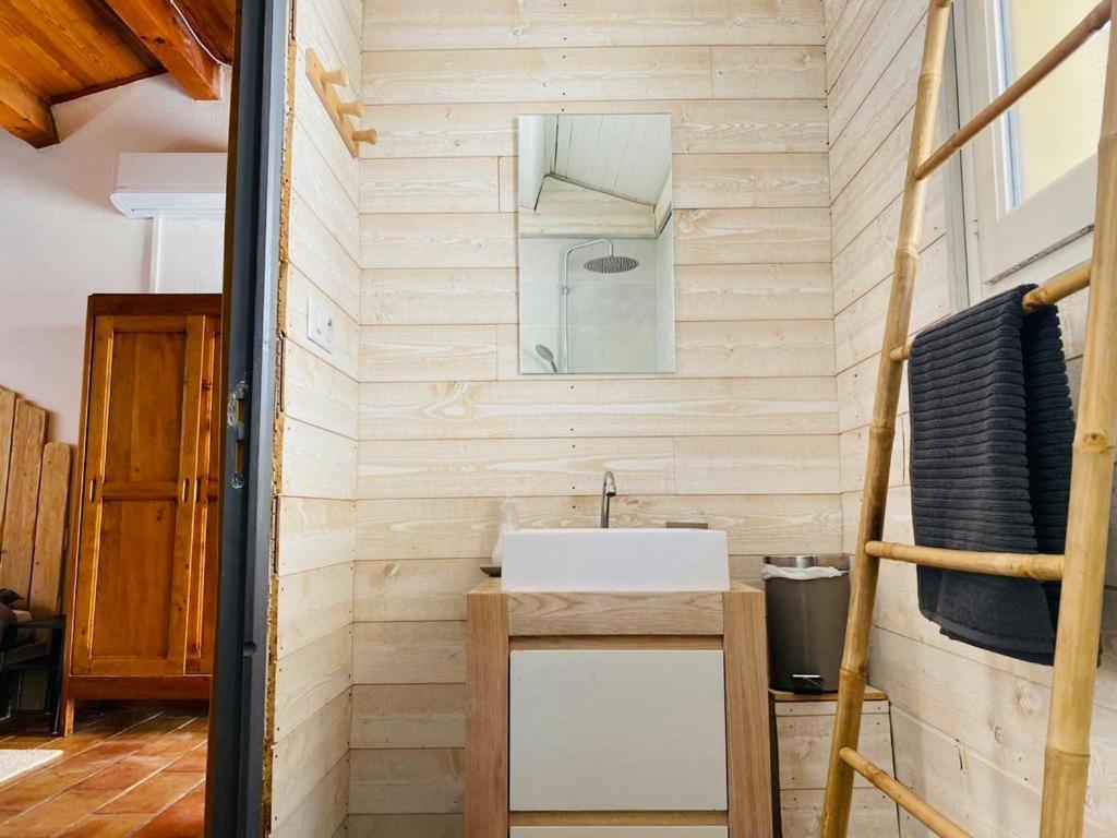 Studio Ile De La Barthelasse A Deux Pas Du Centre 亞維農 外观 照片